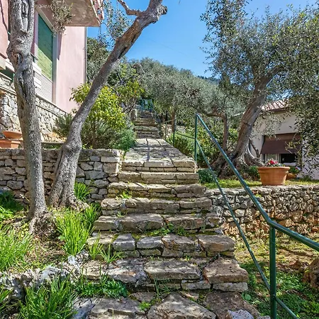 Amazing View Apartman *